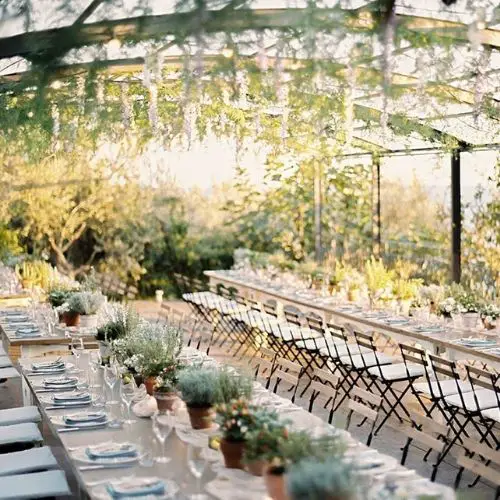 Intimate Backyard Wedding 