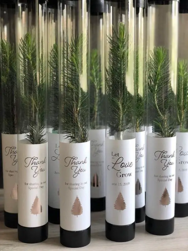 Winter Wedding Favors for Guests Let Love Grow Pine Seedling