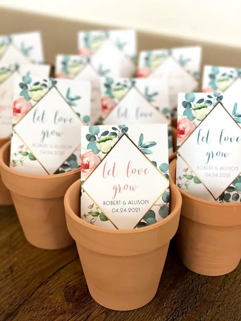Summer themed Wedding Favors Under 2$, 2} Let Love Grow- Custom Seed Wedding Favors