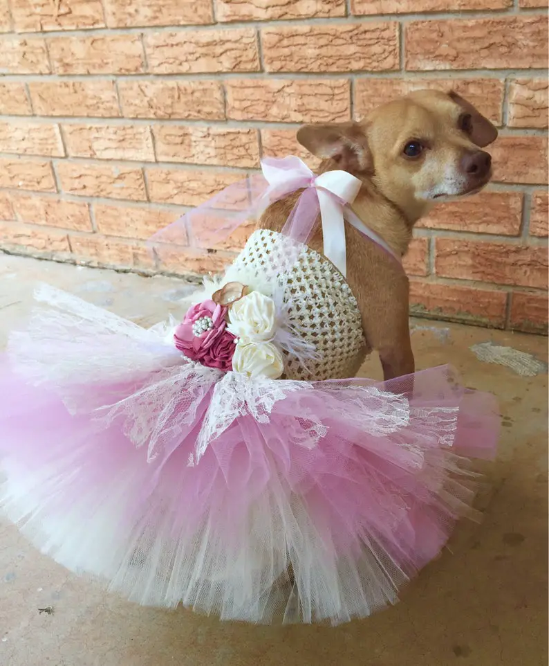 Fancy Tutu Dog Dress Bridesmaids Dresses for Dog