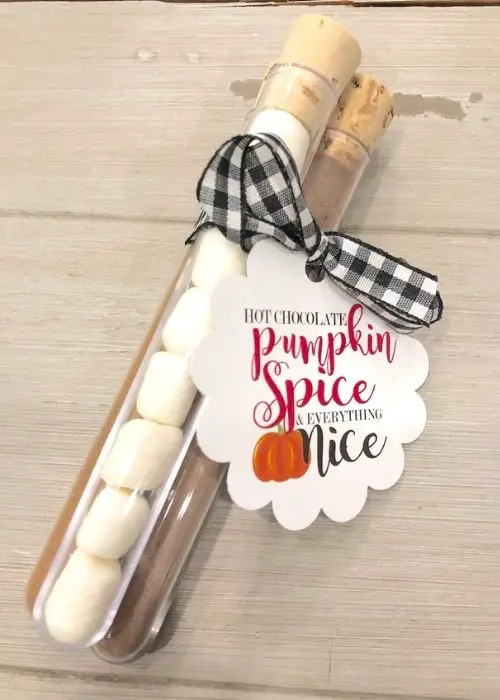 Pumpkin-Spice-Hot-Chocolate-Christmas-Tube-Favors