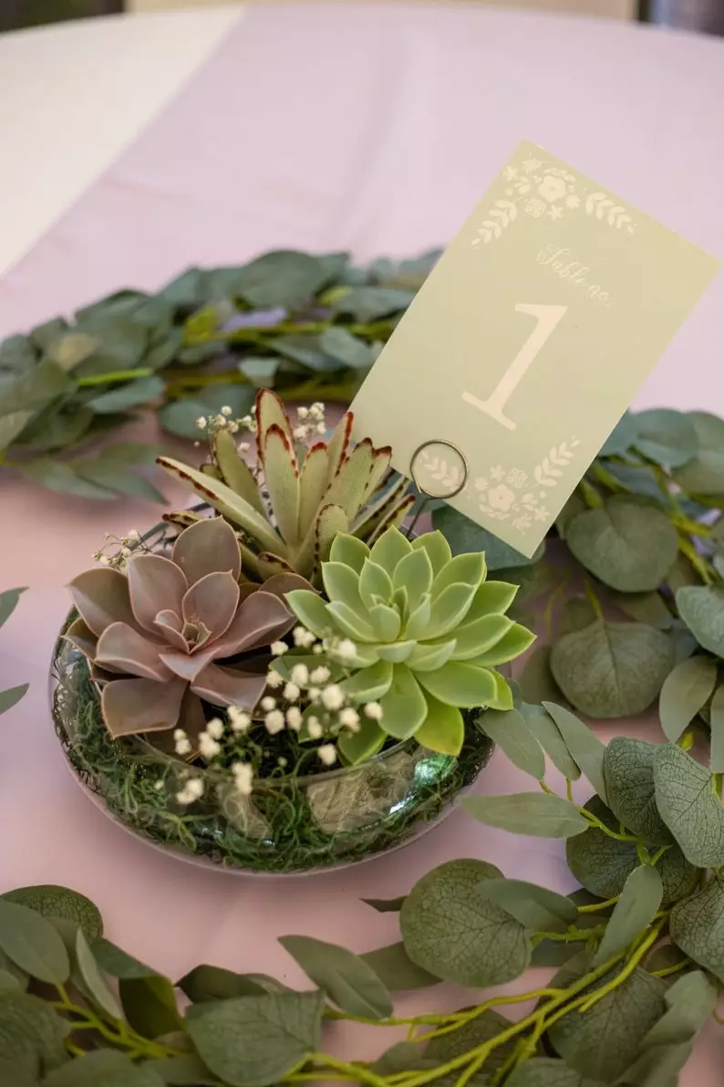 Use Home Plants as Centerpiece - How To Plan A Small Winter Backyard Wedding On A Budget - SUCCULENT