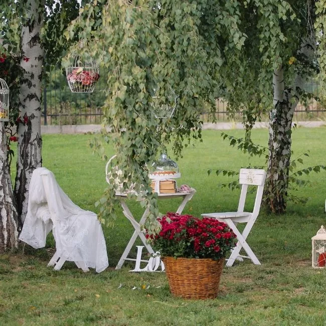 How To Plan A Small Winter Backyard Wedding On A Budget