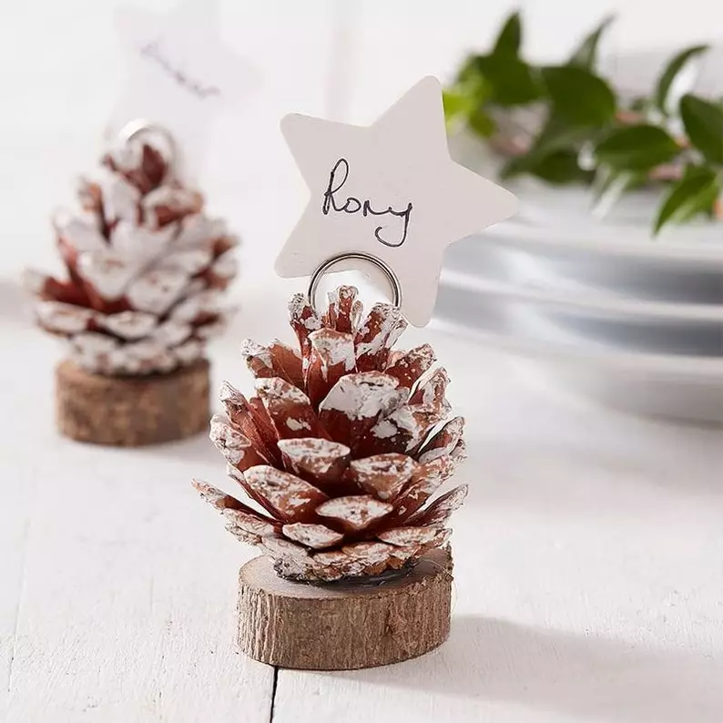  PINE CONE PLACE CARD table decoration for A Small Winter Backyard Wedding On A Budget