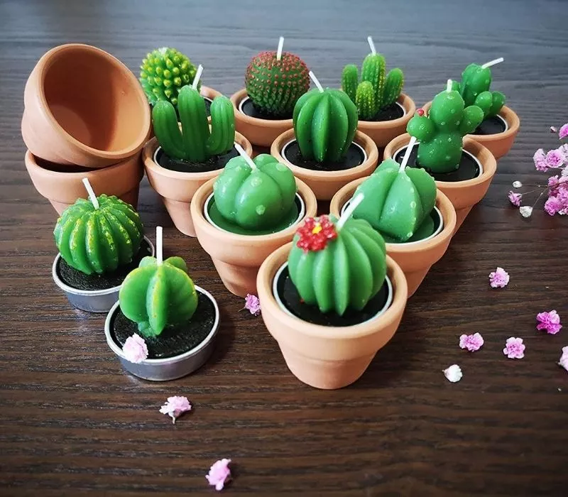 succulent tealight candles with candle holders